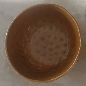 **SALE**Bronze Caramel Animal Print Bowl